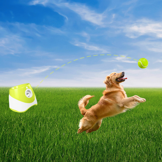 Automatic Tennis Ball Launcher for Dogs | Interactive Indoor & Outdoor Fetch Machine | Best Automatic Dog Ball Launcher for Endless Play